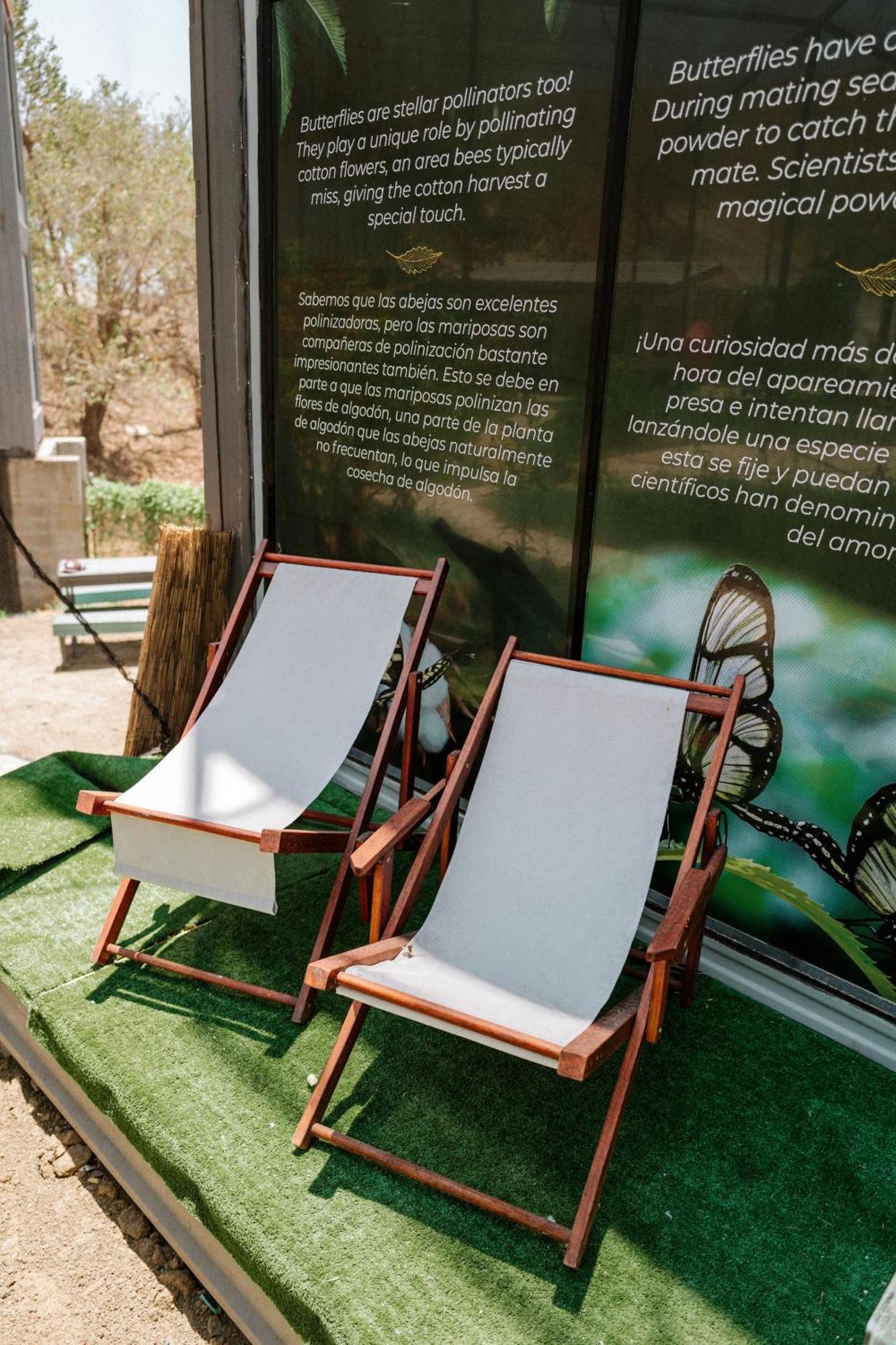 Pupa House - Capsule Hotel - Adults Only Tamarindo Exterior foto
